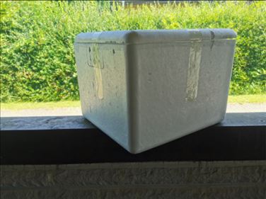 Abbildung: Styroporbox / Kühlbox / Thermobox